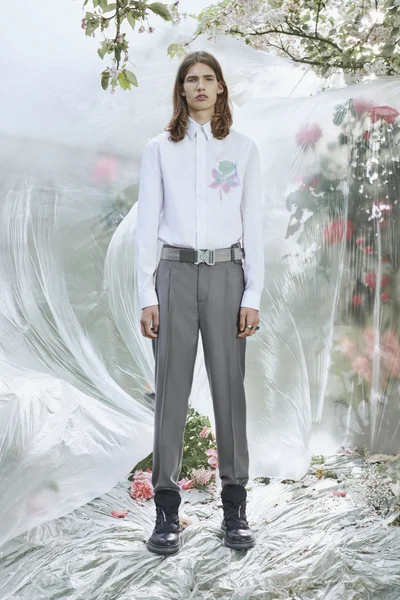 Look 29